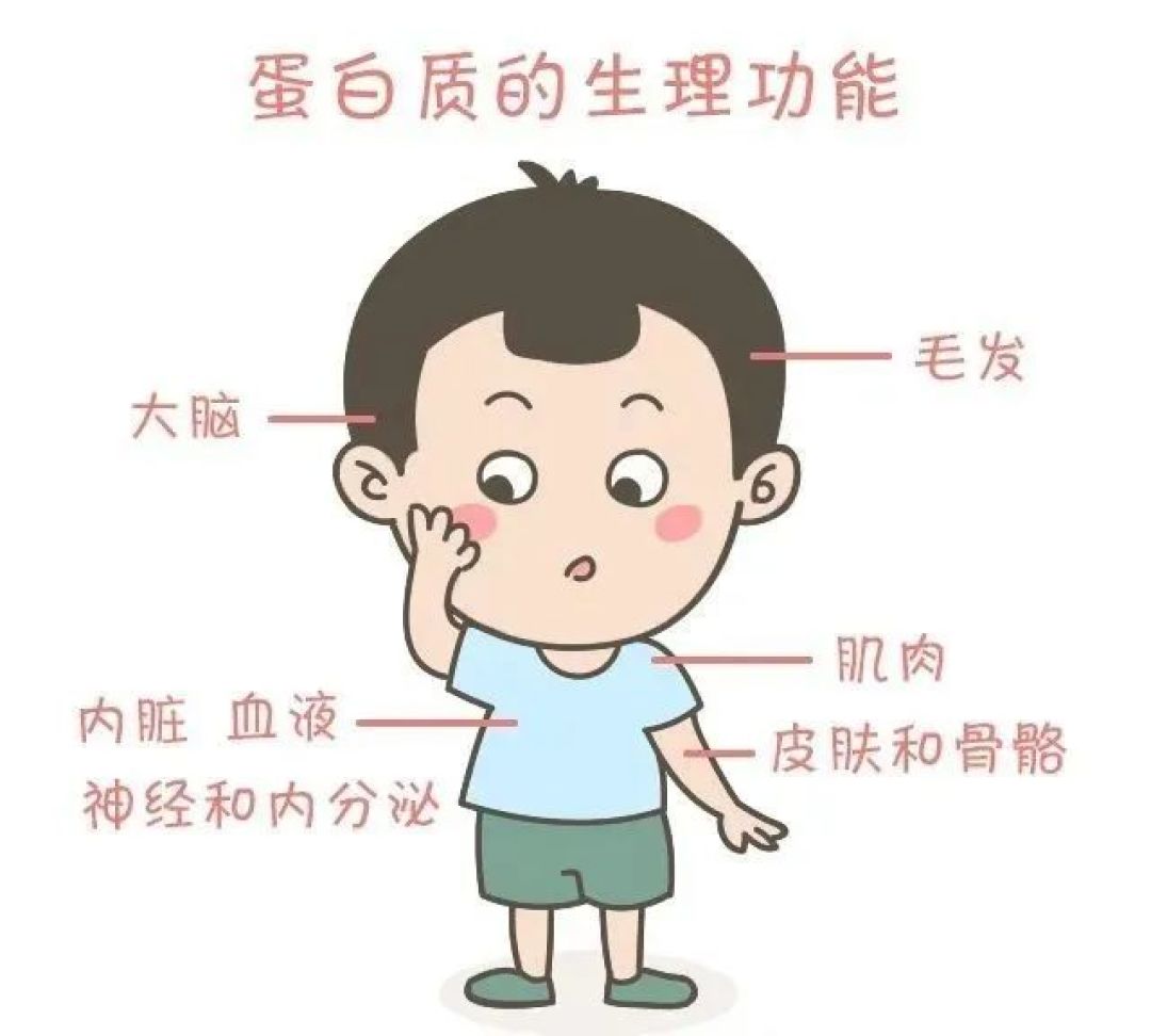 儿童生长促进之身高与营养篇