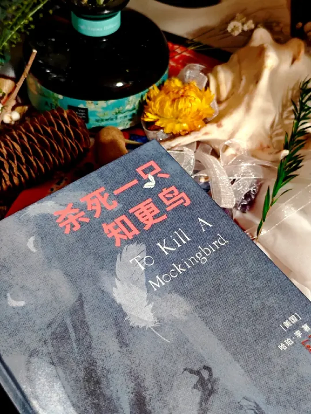 豆瓣9.3❗️每回看都会泪崩的一本书