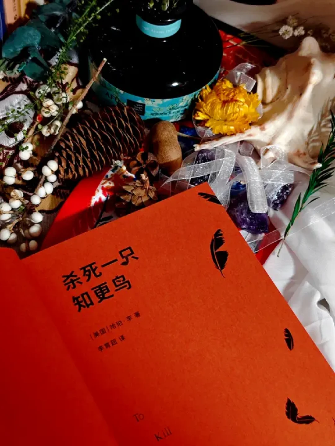 豆瓣9.3❗️每回看都会泪崩的一本书
