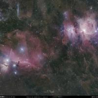 🔭马头星云和猎户座大星云，渣图求赞