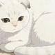 猫界“最不臭”的5种猫，长时间不洗澡也香香的！