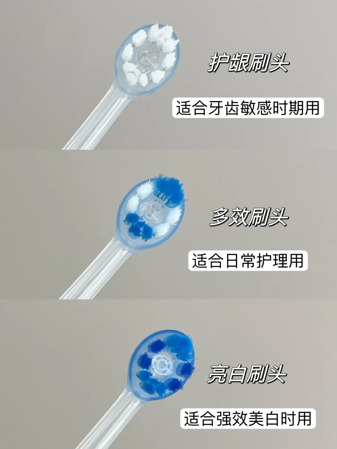 一支温和一支能打!我的刷牙搭子绝配!