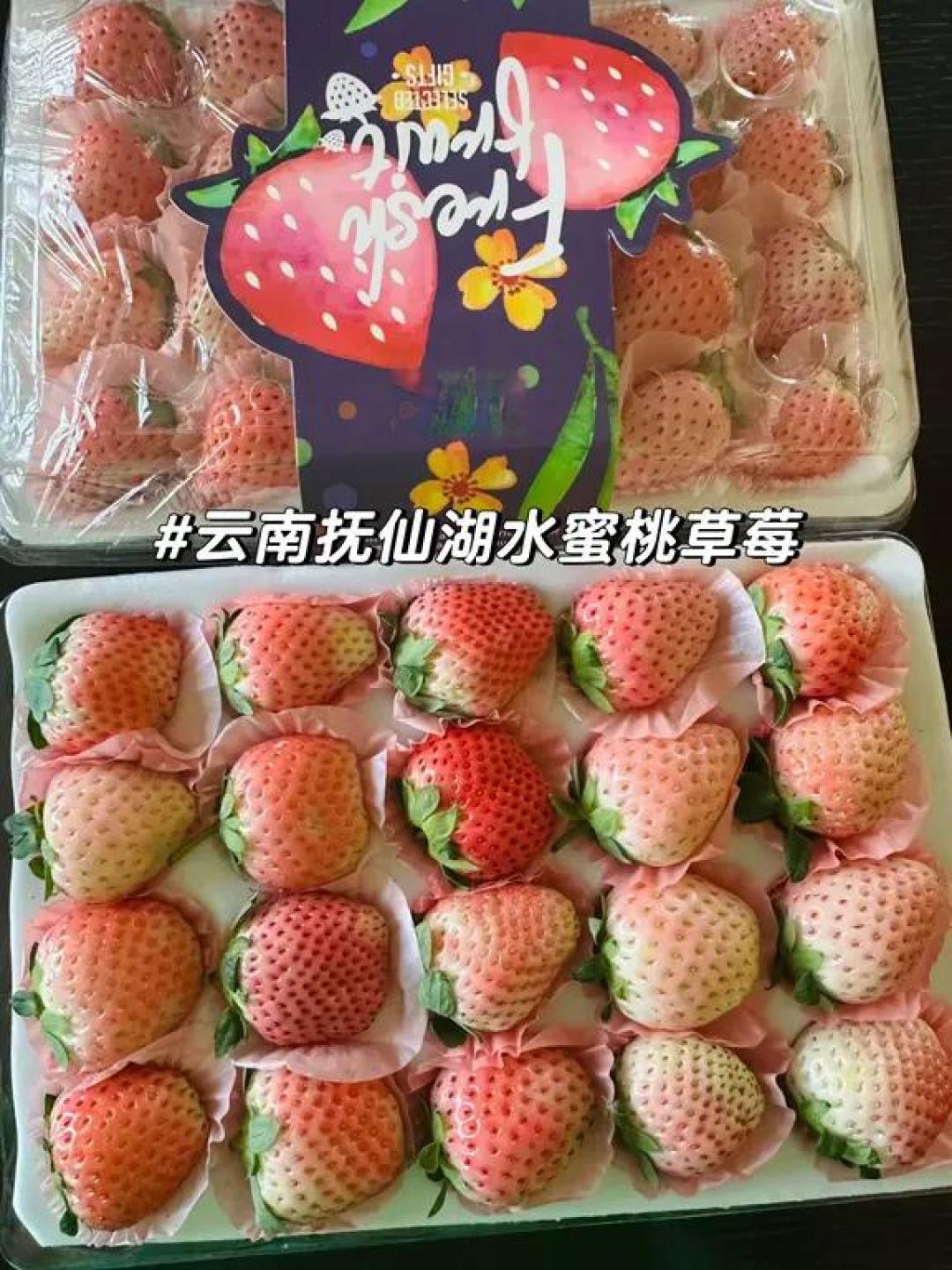 1月份值得买的水果清单(附保姆级攻略)