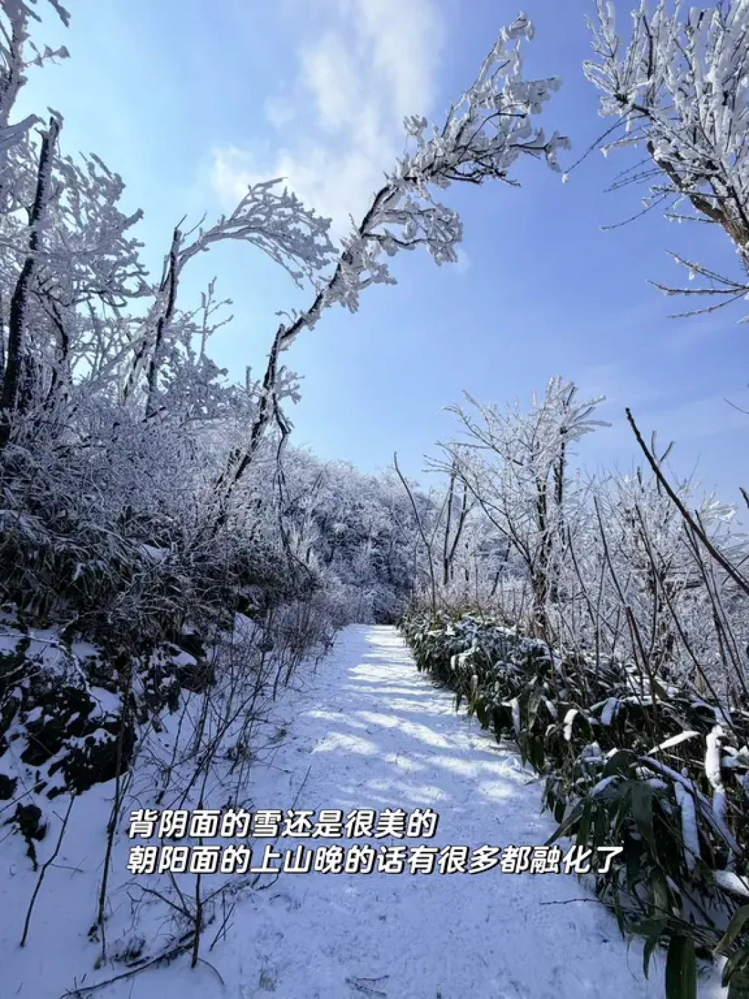 鸬鸟山追雪野餐|融雪之前,记住这片白茫茫