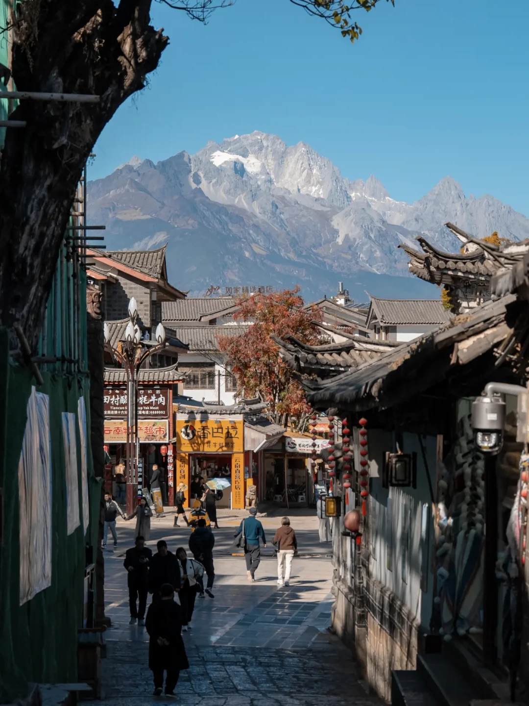 丽江三大古镇丨到底应该住哪里呀?