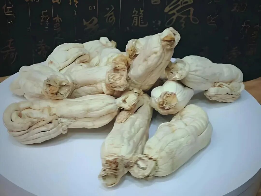 韩国的高丽参是人参吗？