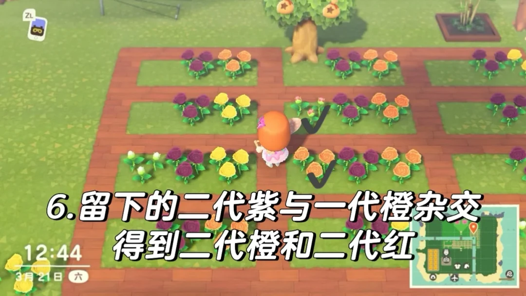 重生之我在动森杂交异色花 蓝玫瑰