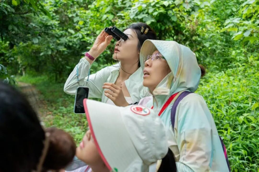 【寒假·崇左秘境亲子营】跨越山海，遇见粉红海豚，白头叶猴科考，竹筏跨国瀑布，挑战雨林秘境~双飞6日
