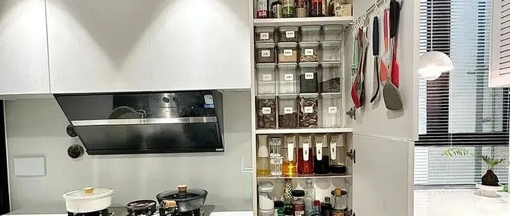 等我买第二套房子，厨房一定装薄柜！美观收纳两不误……_厨房用品_什么值得买