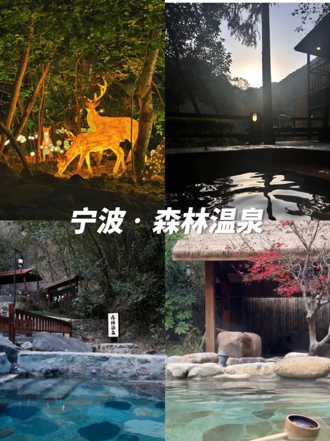 12月去江浙沪泡汤的进👏5个温泉好地方‼️