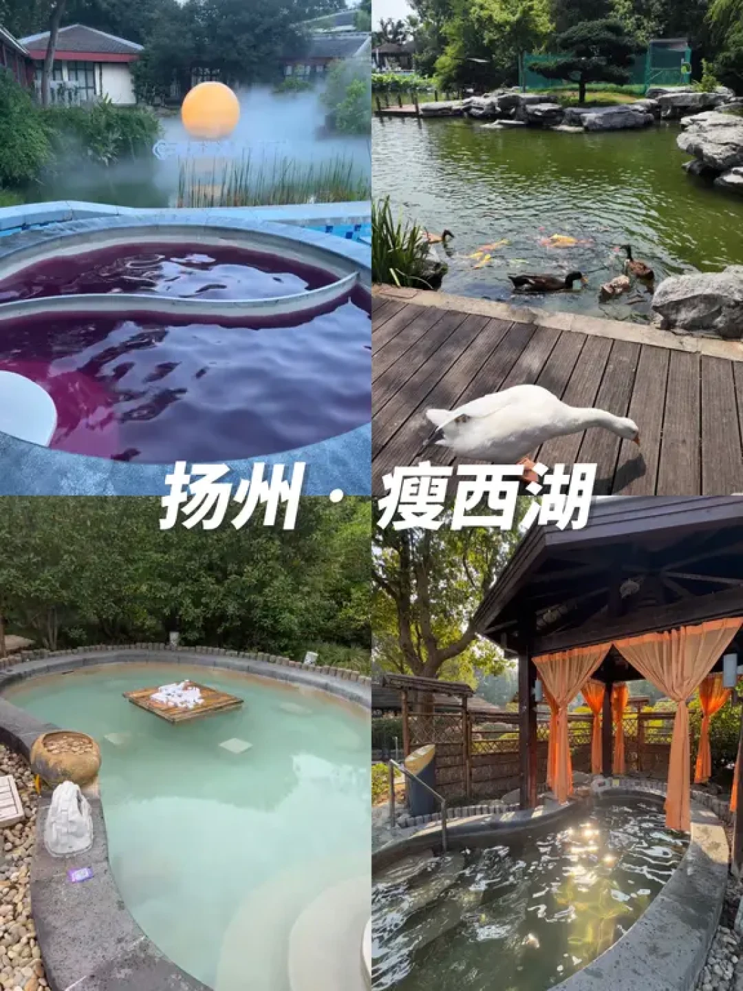 12月去江浙沪泡汤的进👏5个温泉好地方‼️