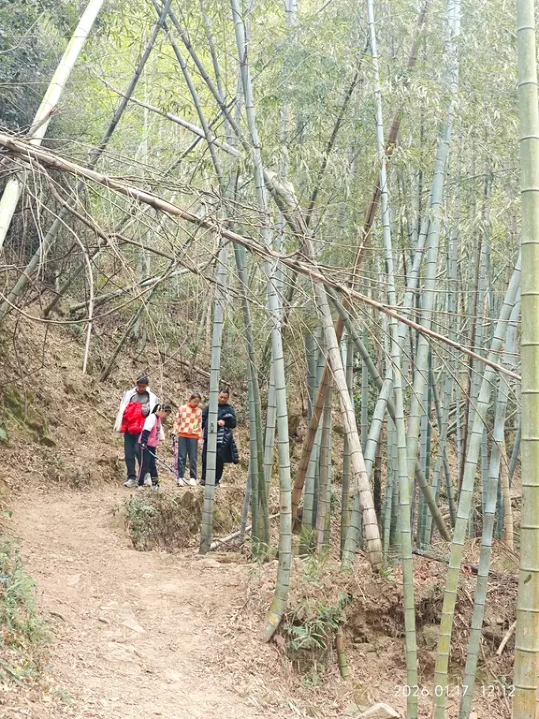 宁波横河大山步道|4km宝藏亲子徒步小环线