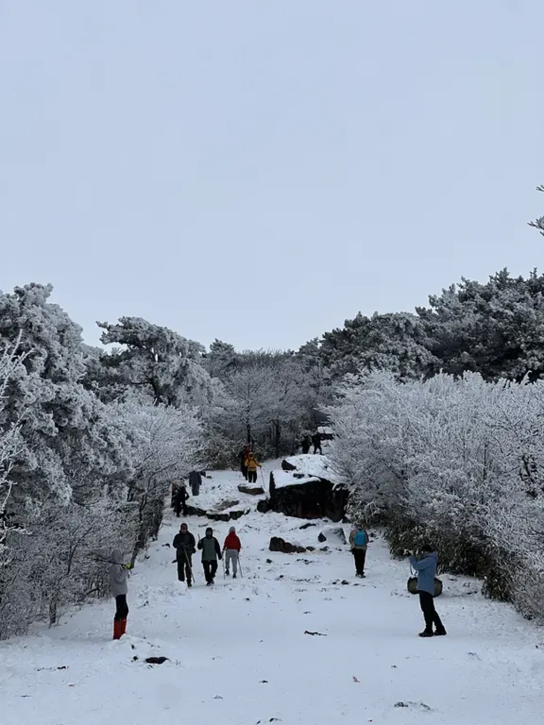 20号龙王山又要下雪献上一篇龙王山徒步攻略