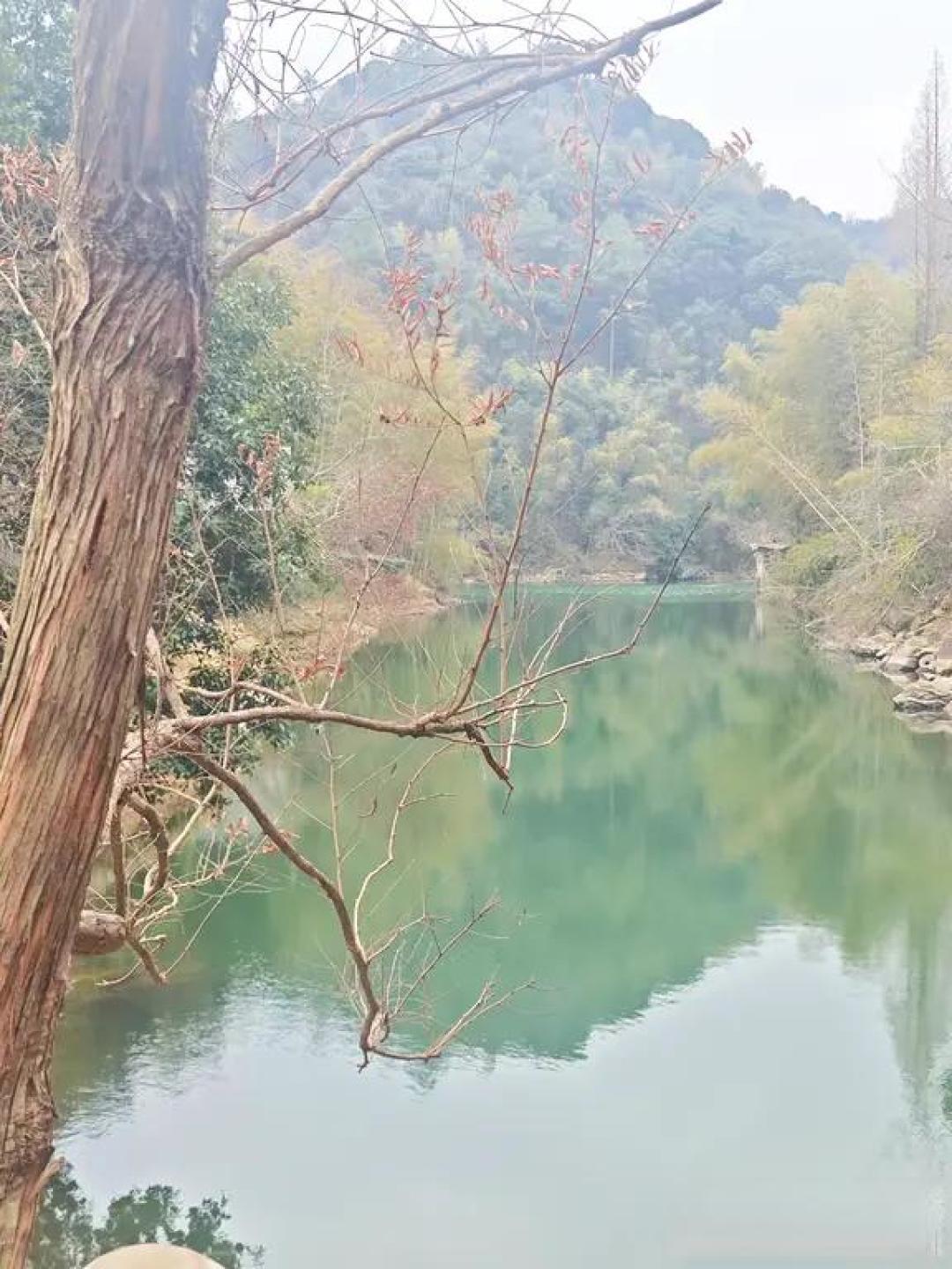 宁波横河大山步道|4km宝藏亲子徒步小环线