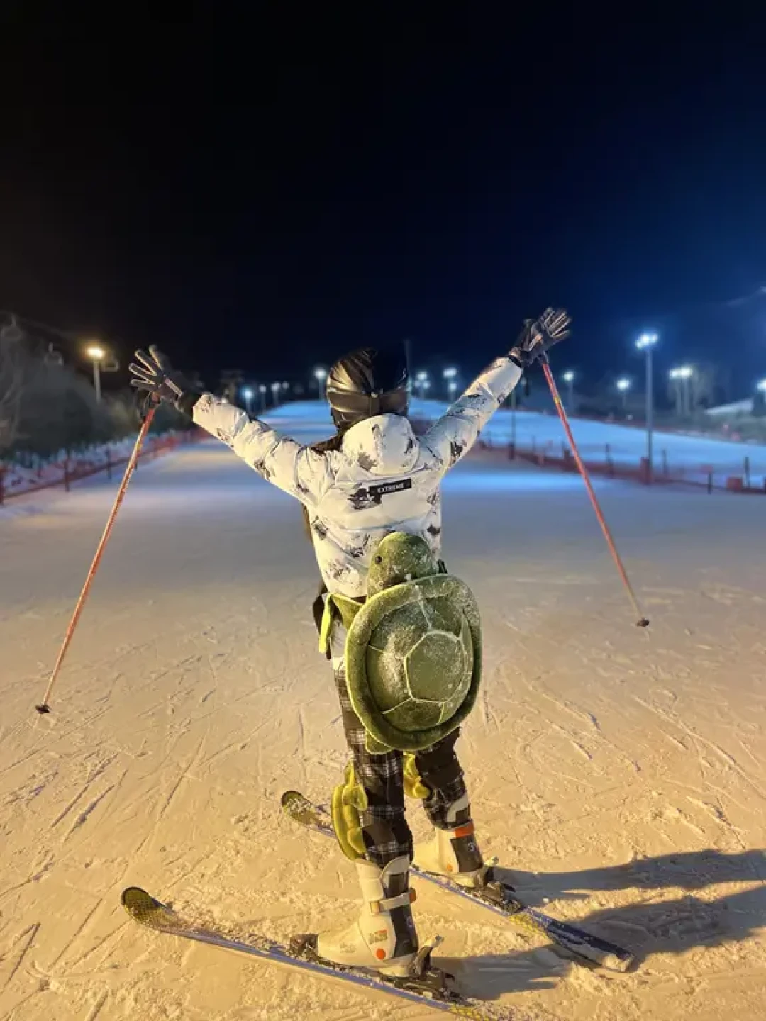 滑雪速成⛷️❺招xie修让新手小白当天笑傲雪道