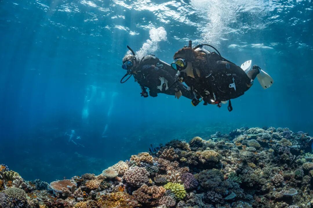 水肺潜水 | 哪些技巧你一定要掌握和牢记