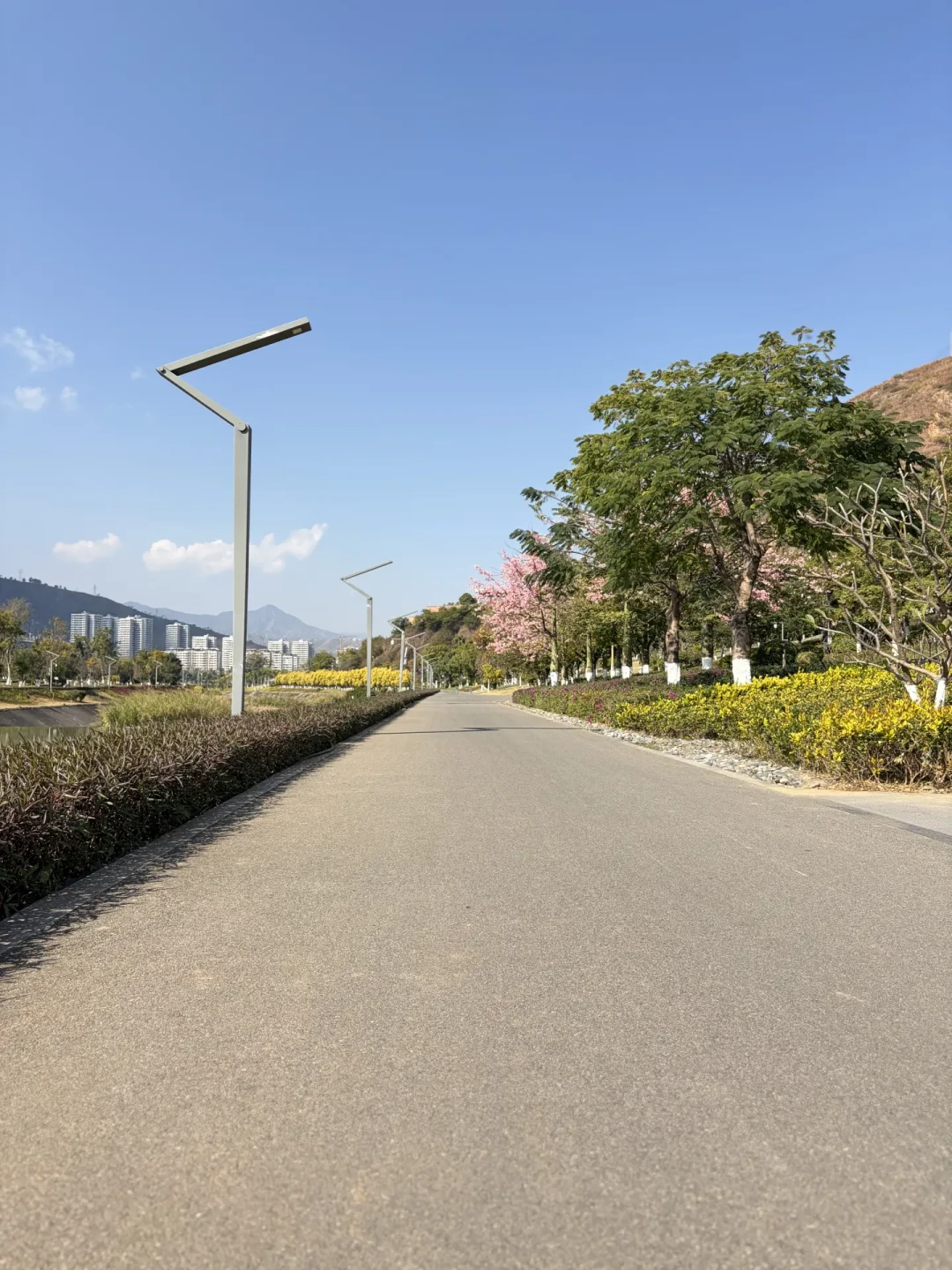 攀枝花仁和水中央：一条4.5km丝滑闭环新绿道