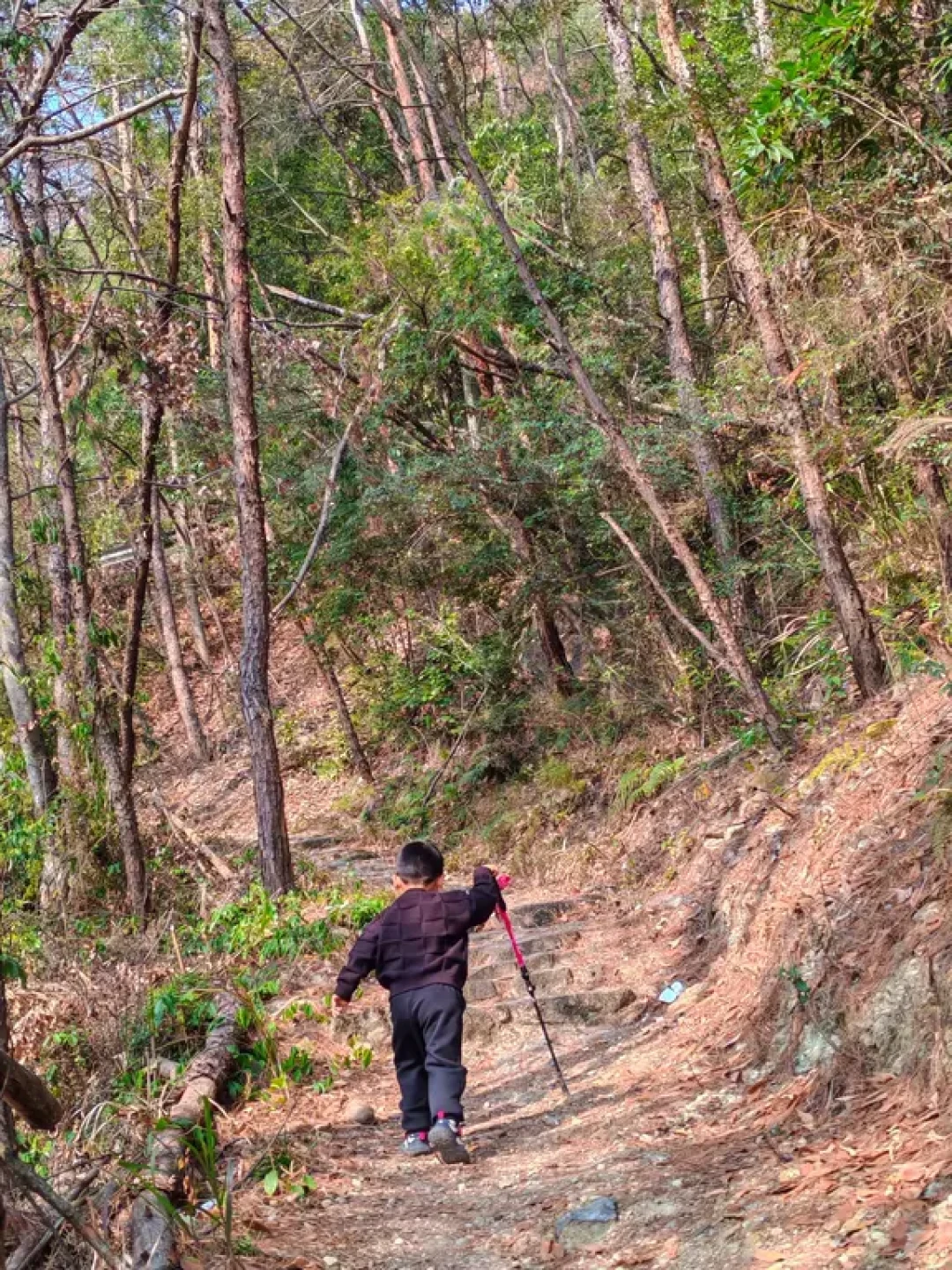 每周一山｜满树松果！小众野趣山脊线探秘！
