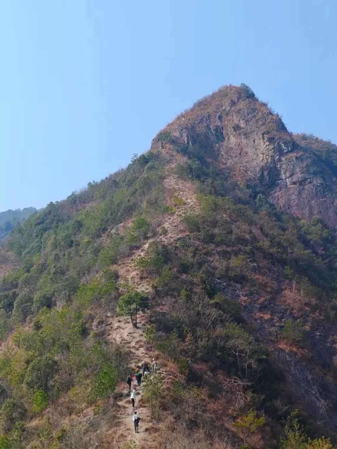 每周一山｜满树松果！小众野趣山脊线探秘！