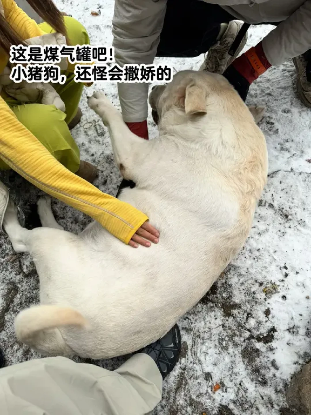 没去鳌太,去了百丈岭,露了三天营❄️