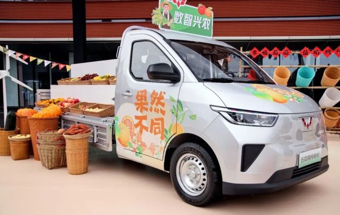 2025新能源小微卡增35% 前十换位!远程连冠 奇瑞/福田争第二 江铃前十丨头条