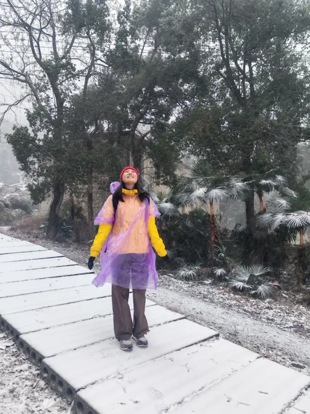 反穿南岳衡山,避坑版保姆级攻略!