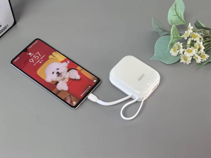 西圣移动电源