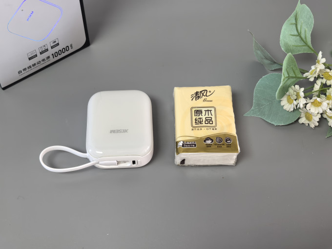西圣移动电源
