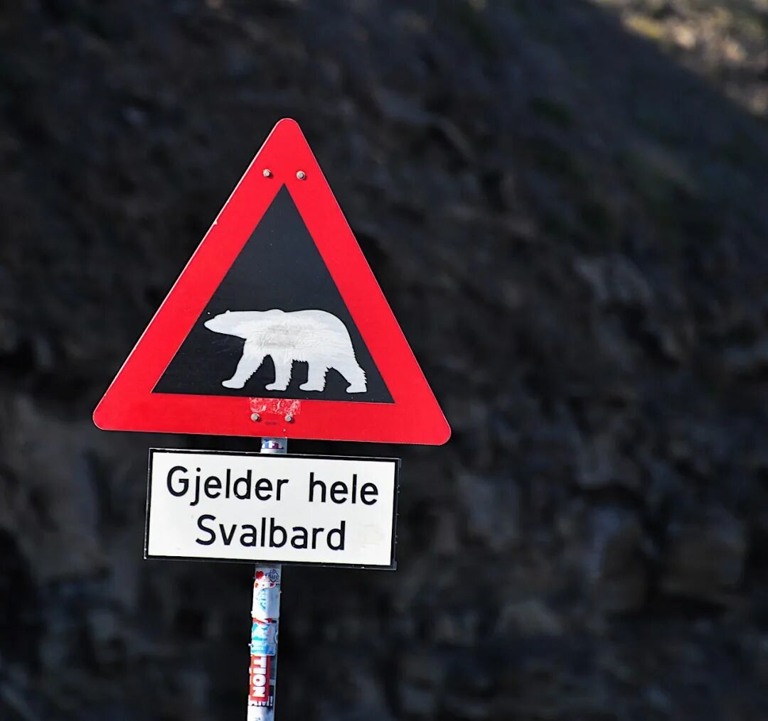 旅行 | 斯瓦尔巴群岛（Svalbard）：在禁止死亡的世界尽头，预习“末日”的浪漫