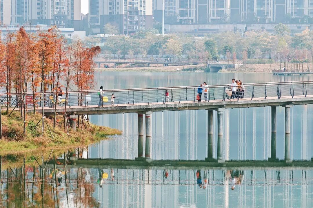 等了5年,广州这个“清水绿岸”新公园终于开放了,免费“露营遛娃”好去处,地铁直达超方便!