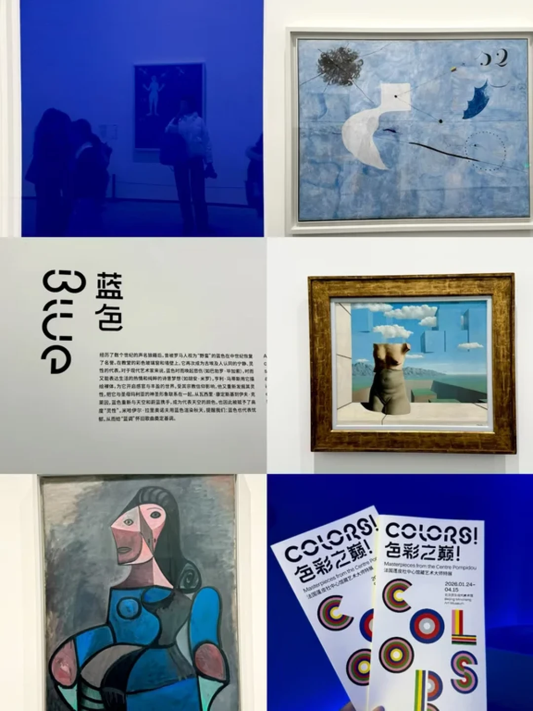 色彩之巅🌈巴黎蓬皮杜闭馆 展品落地北京