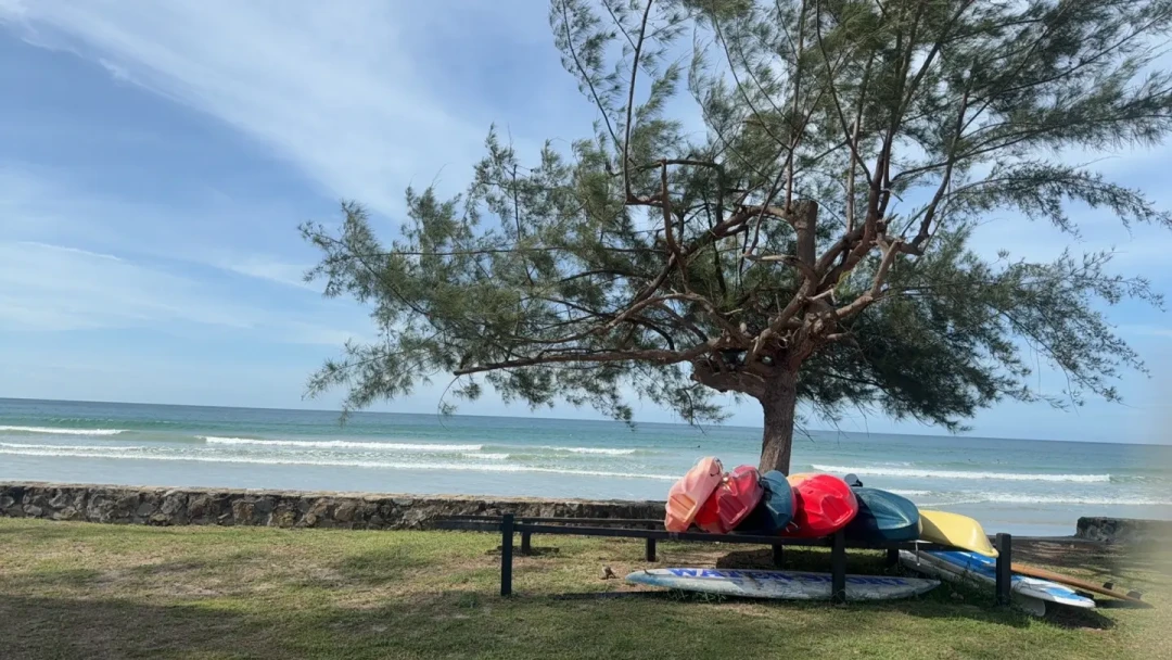 亚庇新手冲浪村|解锁人生第一道浪🌊