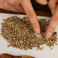【麻子仁丸】大便干结，便秘人群可以看下