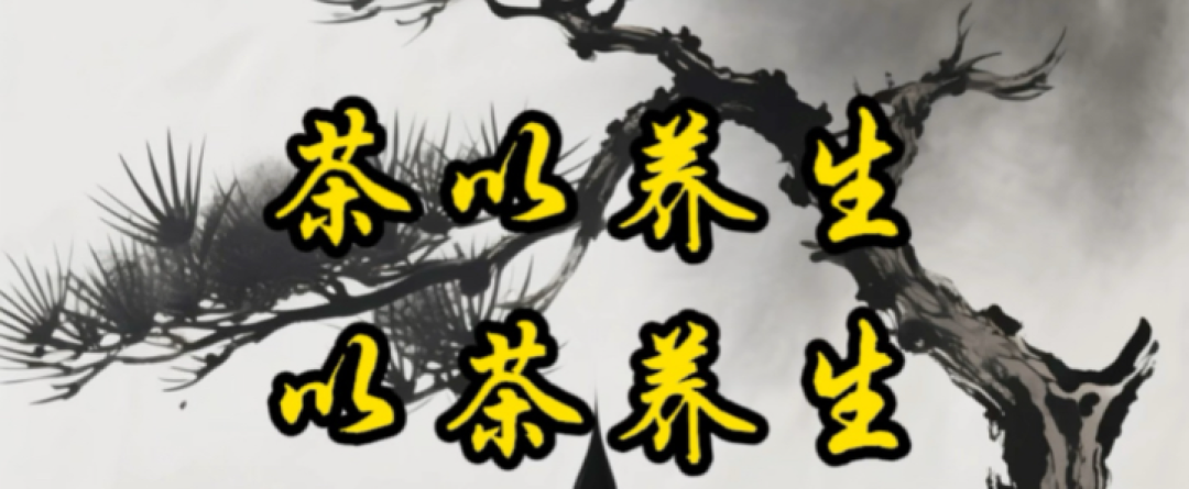喝茶养生:以一叶之微,筑健康之基