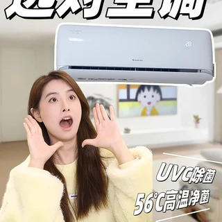 有娃有宠的南方家庭，空调得选能除菌的！！