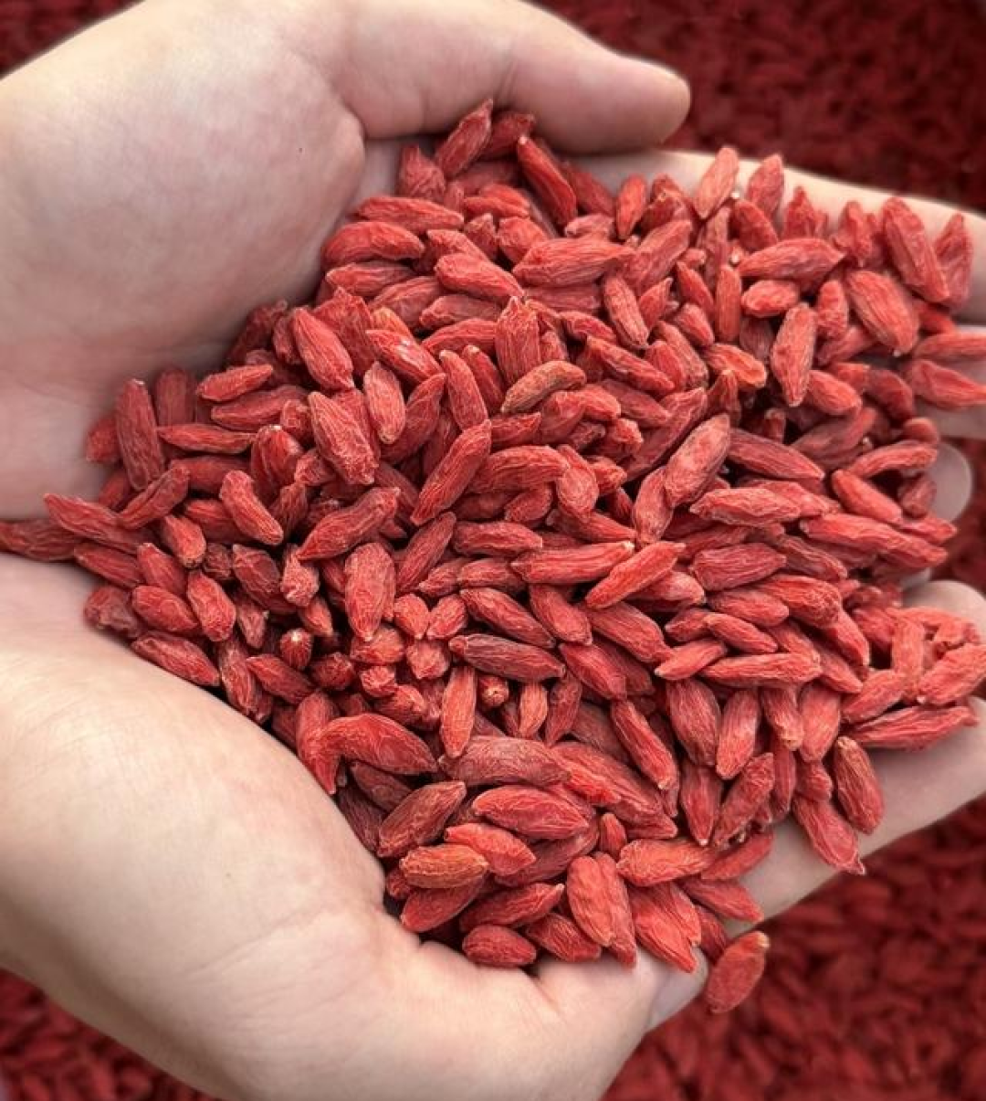 老一辈传的土办法:花椒配枸杞加红枣,3样常见食材,养身不花钱