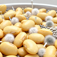 自制霉豆腐更健康安全，还是市售品牌更可靠？843+用户观点大PK