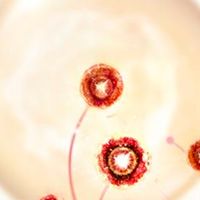 日常护肤能做到的抗老极限在哪里？为什么抗老需要趁早？