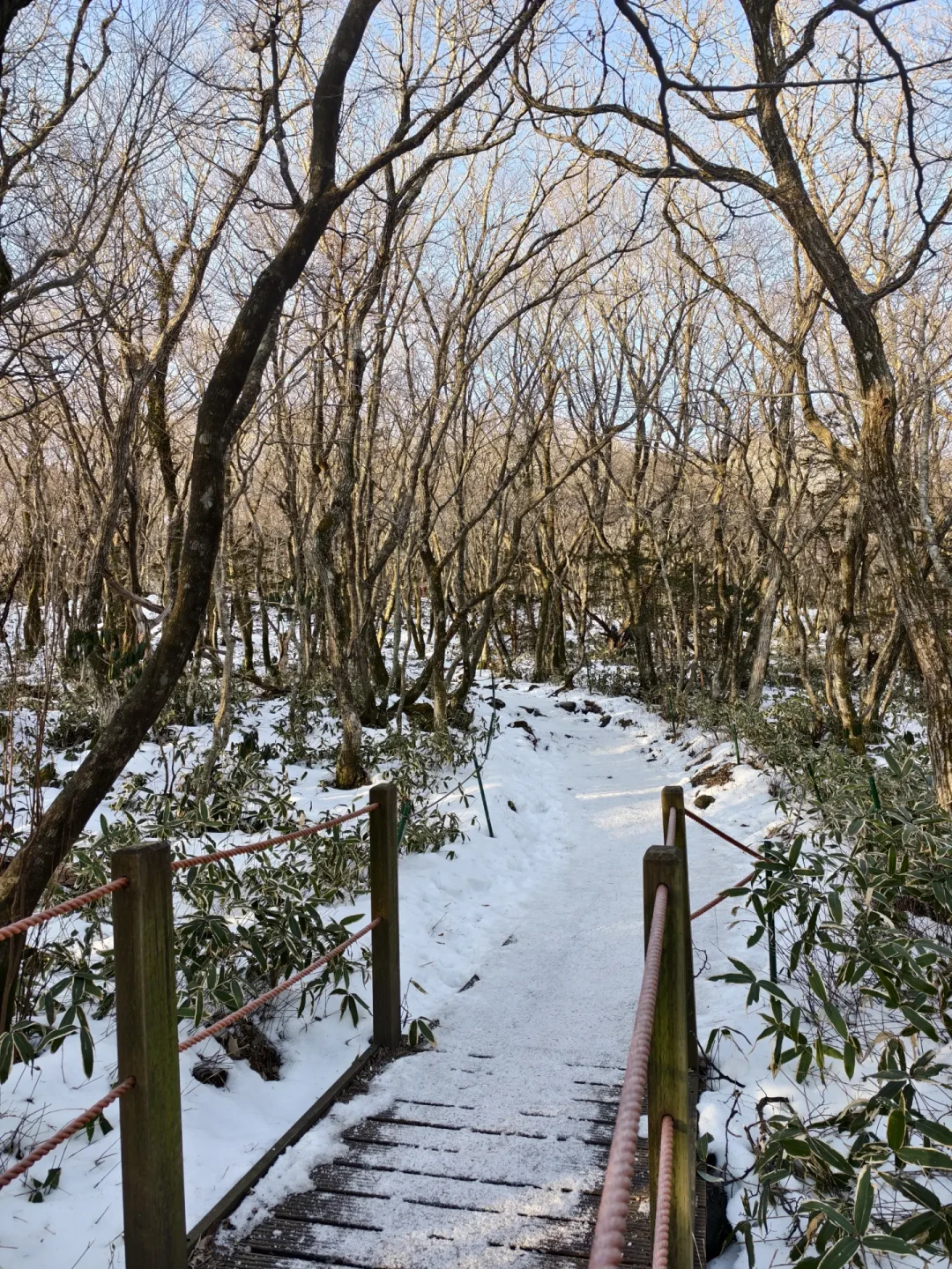 冬季汉拿山,登山攻略