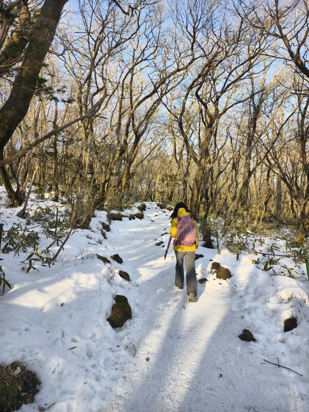 冬季汉拿山,登山攻略