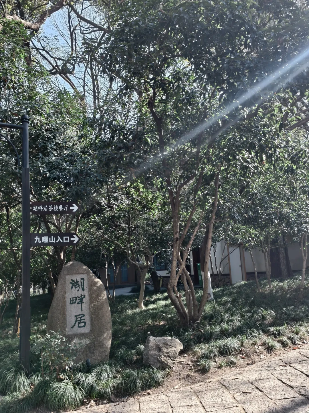 九曜山#杭州推荐登山路线#亲子徒步