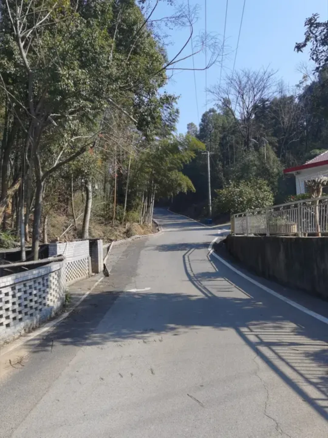 长沙徒步爬山墙裂推荐—岳麓区莲花山