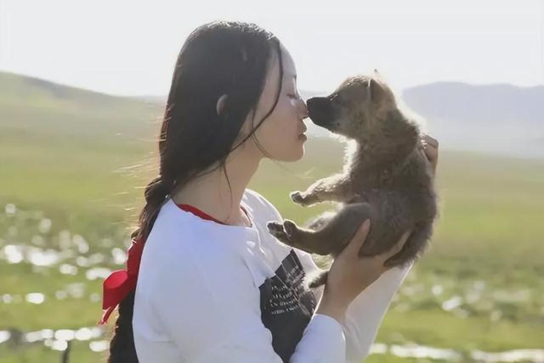 纪录片《重返狼群》为何让人泪目?人情淡薄,我们为人类感到悲凉