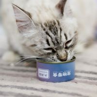 2026年高品质猫粮深度评测：8大热销品牌真实口碑全解析