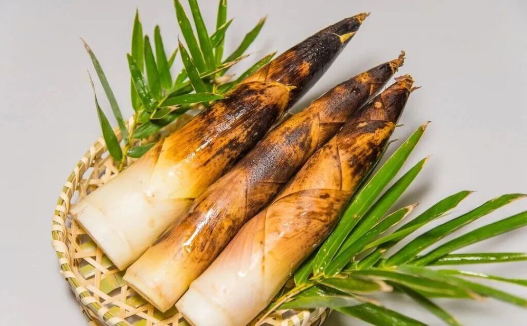 竹笋的潜在营养价值简介