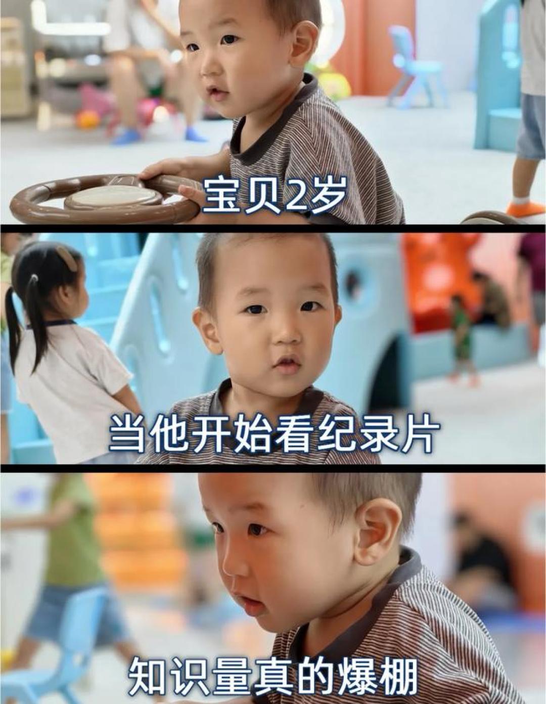 央视压箱底5部纪录片!寒假给孩子看,开学逆袭当学霸!