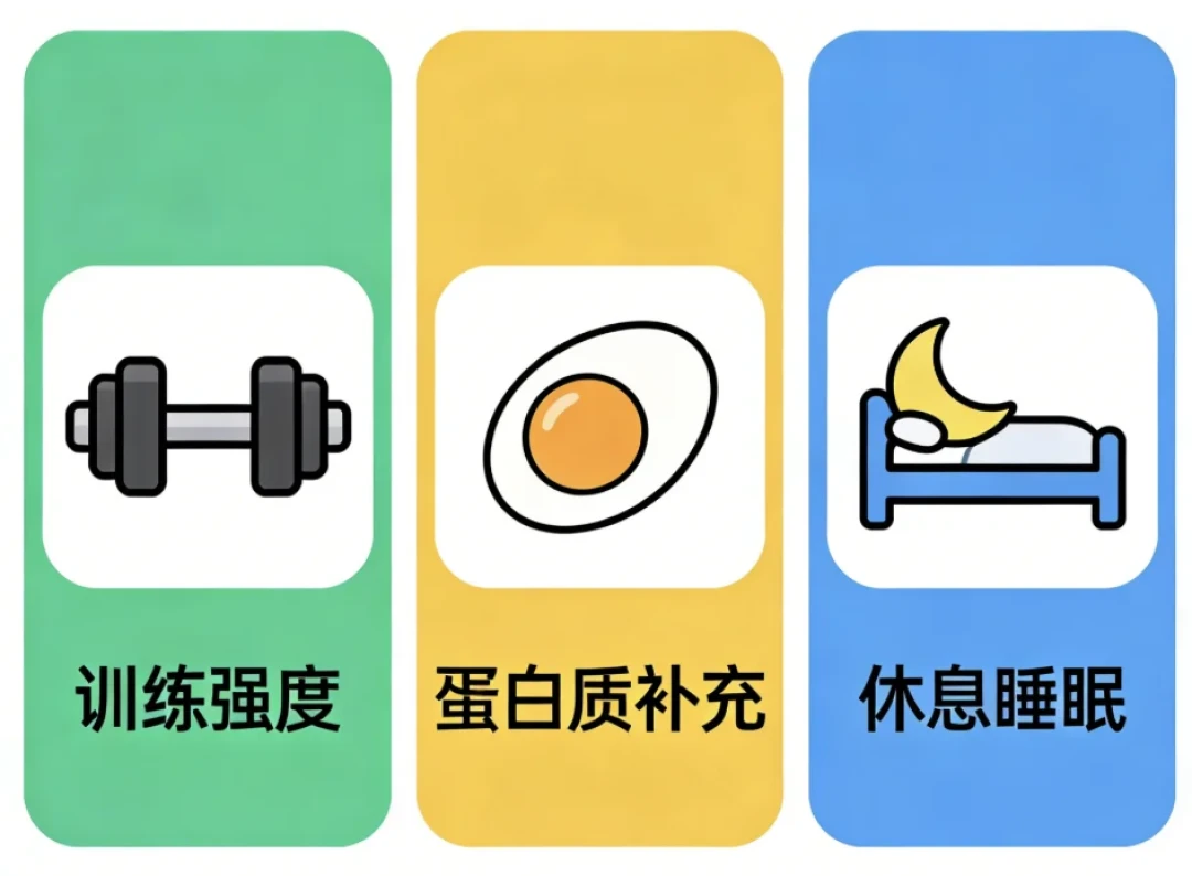 原来肌肉是这么长的!增肌党必看真相💪