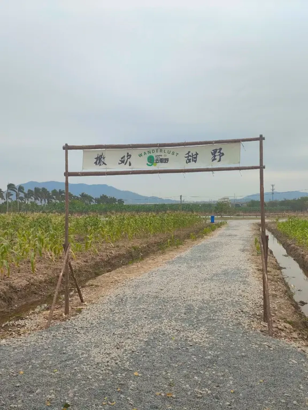 珠海遛娃✨甜野公社科普摘水果玩到娃不肯走