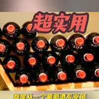 从专业的角度和消费者角度带你了解什么的葡萄酒算好酒#葡萄酒知识讲解视频