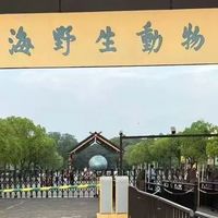 上海野生动物园亲子一日游（穷游攻略）